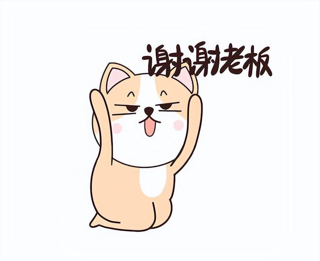 伯尼-比格斯塔夫操作扩张选秀助山猫崛起