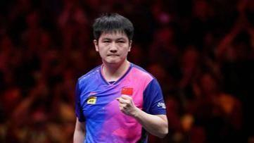 樊振东留洋德甲：训练体系与舆论环境的双重考