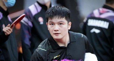 樊振东留洋德甲：训练体系与舆论环境的双重考