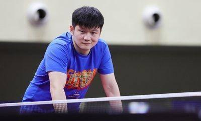 樊振东留洋德甲：训练体系与舆论环境的双重考